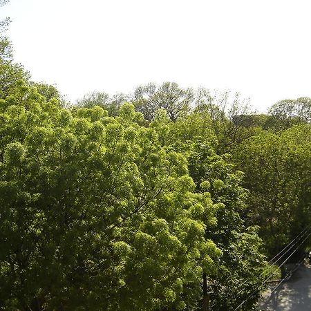 Central Park Family Hotel Kavarna Buitenkant foto